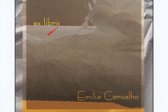 Ovidiu Petca, "Emilia Carvalho", 12/ 12 cm, CGD