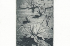 Roberto Rattazzi, Exlibris Camilla Casalino ''Water Lilies'', C3, C5, 14.8x7.8 cm, 2015