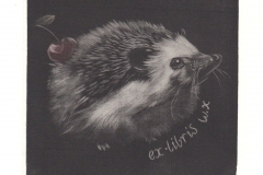 Wenxi Wang,  Exlibris W.X. "Hedgehog", 11,5 /11,5 cm, 2018, C7,